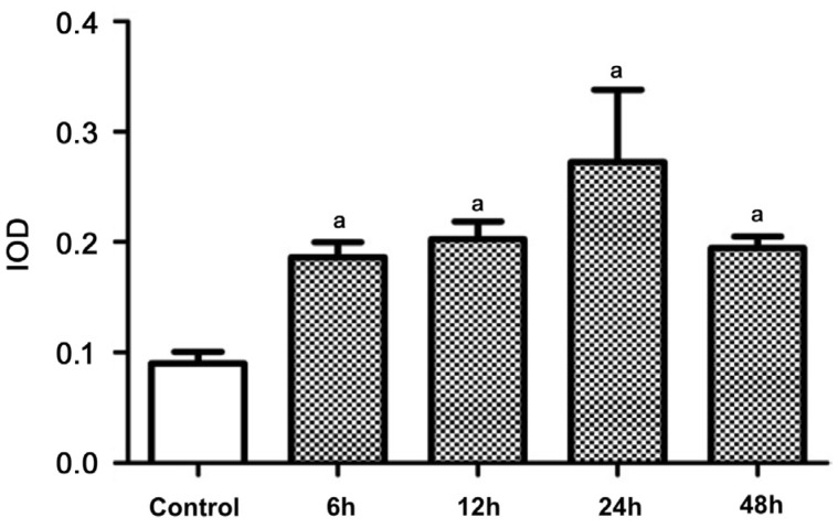 Figure 6