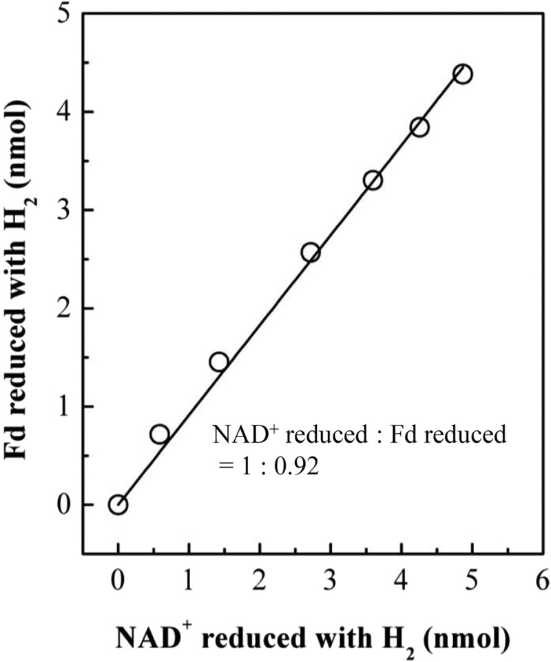 FIG 4