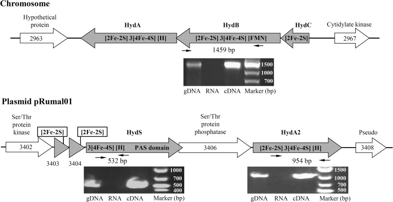 FIG 2