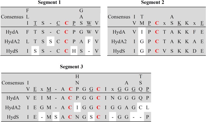 FIG 1