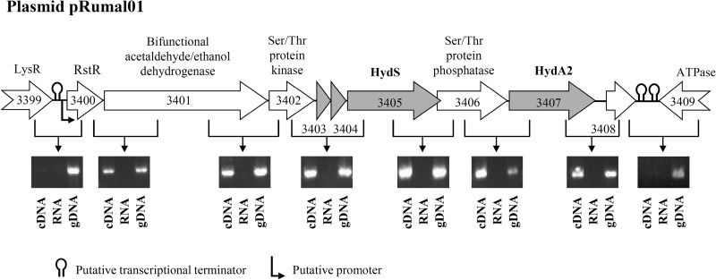 FIG 5