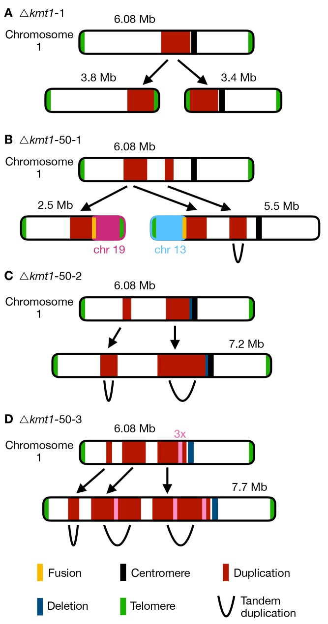 Fig 6