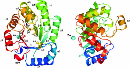 FIG. 5.