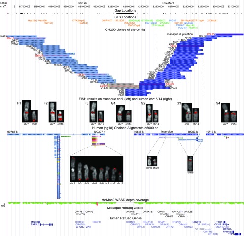 Figure 2.