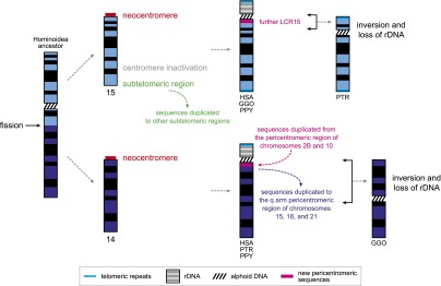 Figure 5.