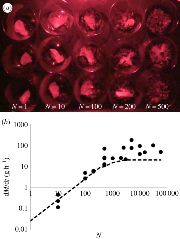 Figure 4.