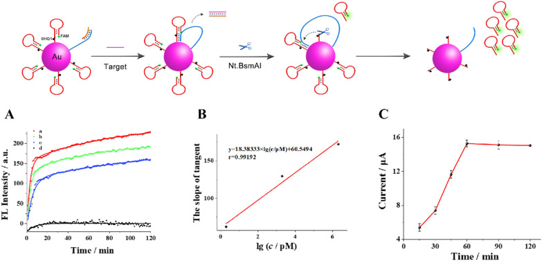 Fig. 4