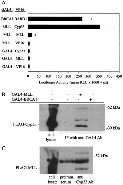 FIG. 5