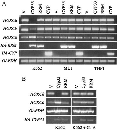 FIG. 7