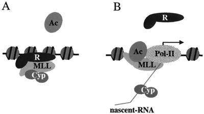 FIG. 8