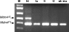 FIG. 6.
