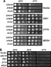 FIG. 7.