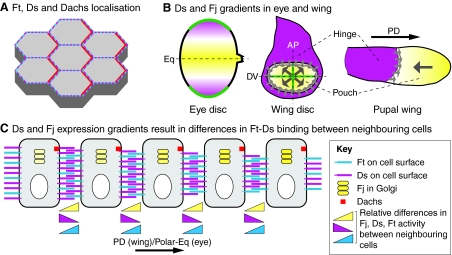 Fig. 4.