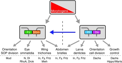 Fig. 5.