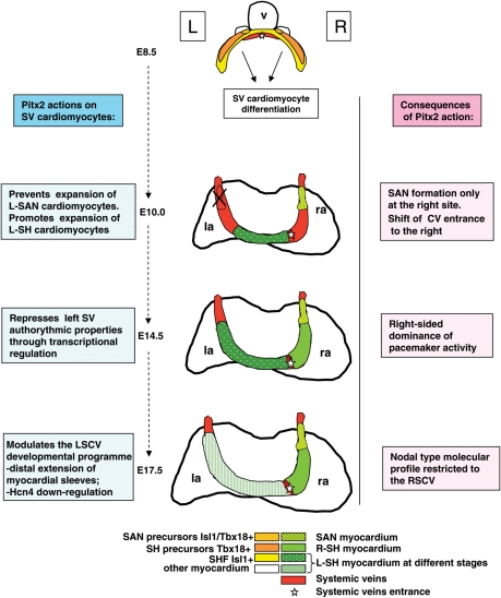 Figure 6