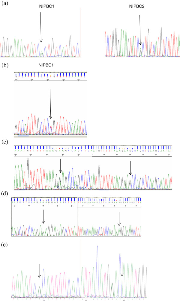 Figure 14