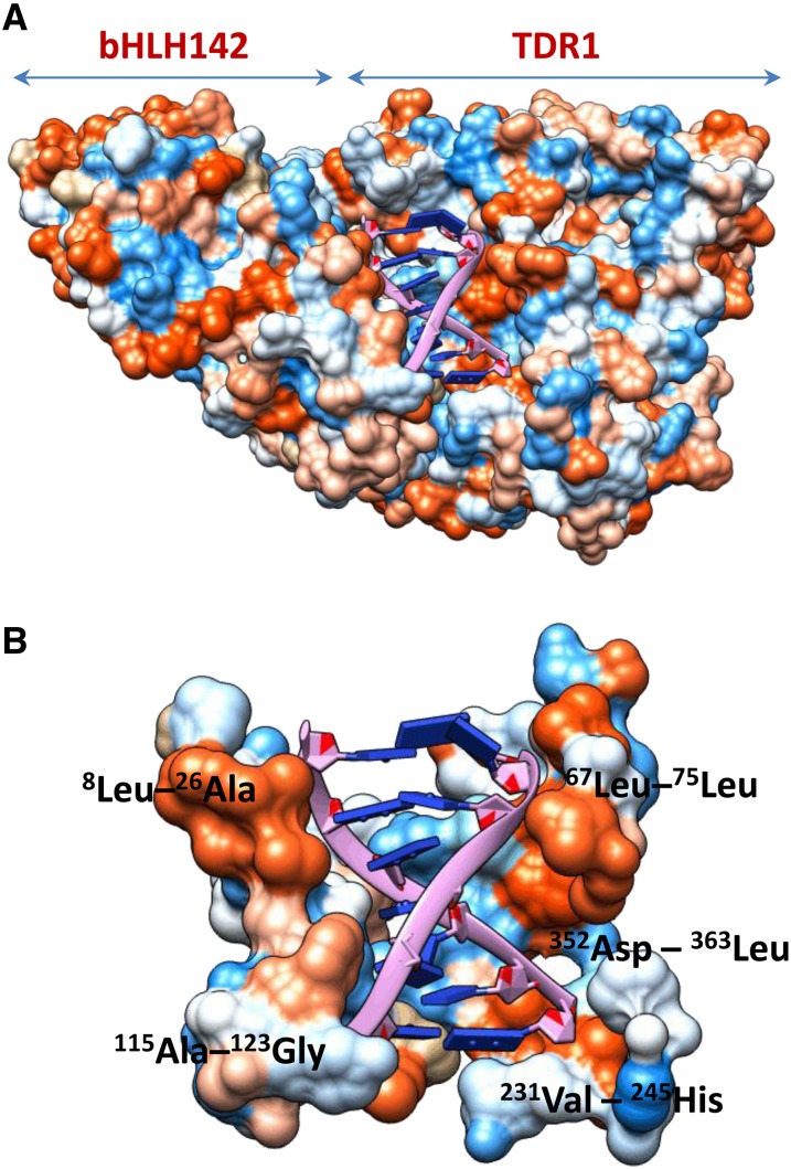 Figure 10.