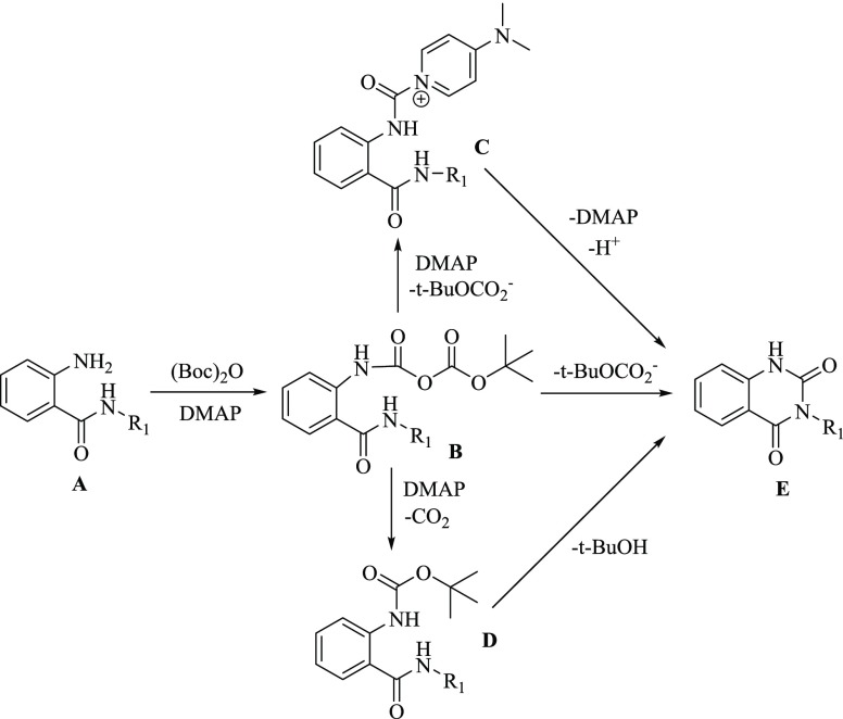 Scheme 5