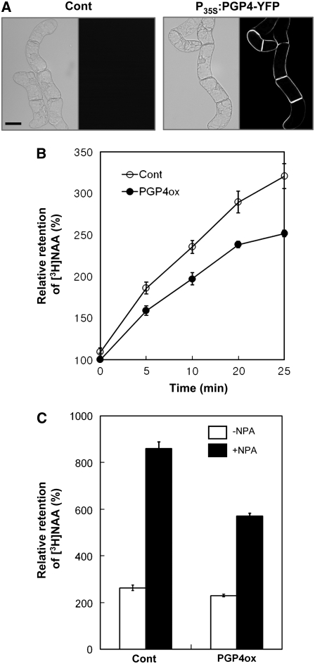 Figure 6.