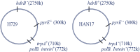 Fig. S1.