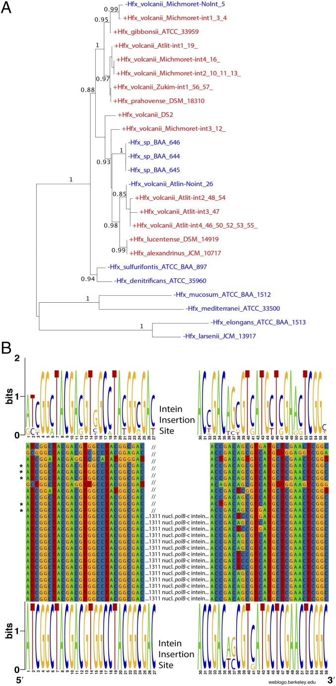 Fig. 6.