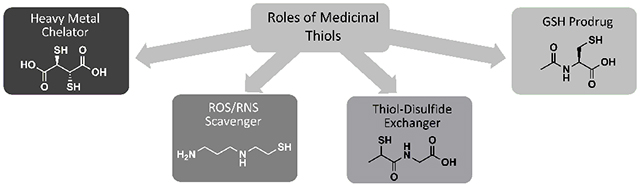 graphic file with name nihms-1590805-f0009.jpg