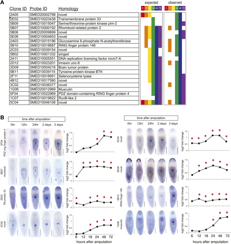 Figure 2—figure supplement 3.