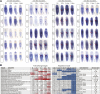 Figure 3—figure supplement 1.