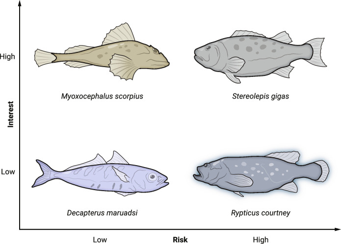 Fig. 1.