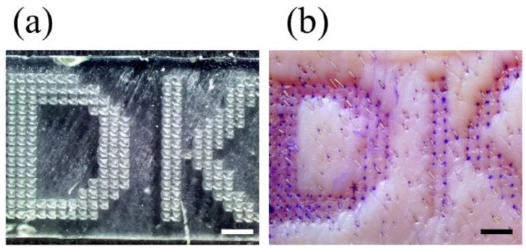 Figure 9