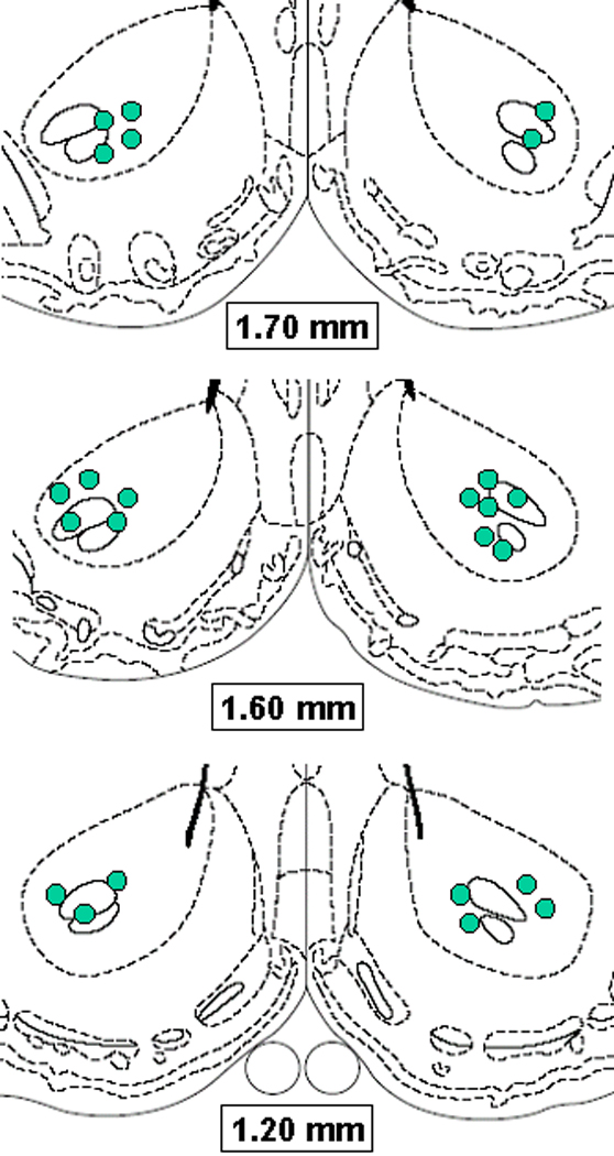 Figure 8