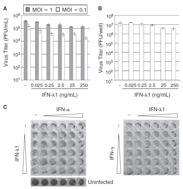 FIG. 1. 