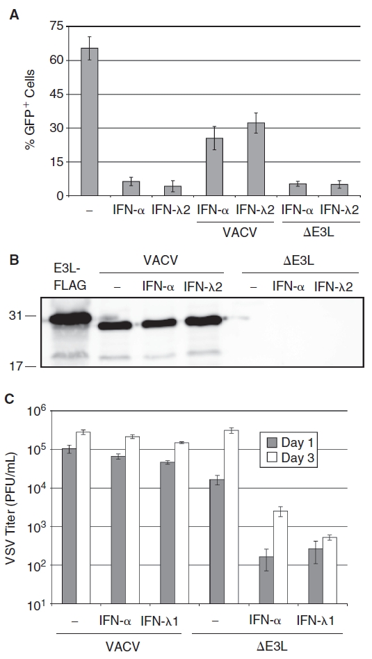 FIG. 4. 