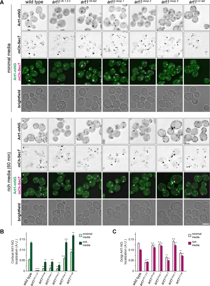 FIGURE 3: