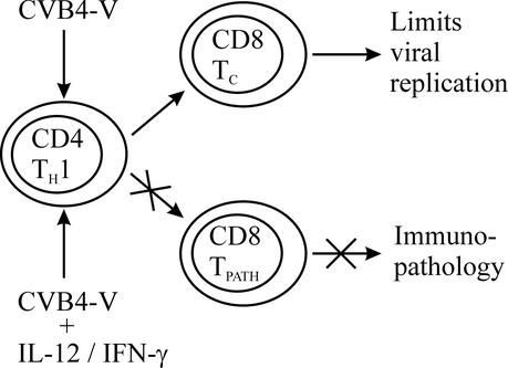 FIG. 7.