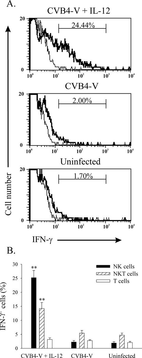 FIG. 5.