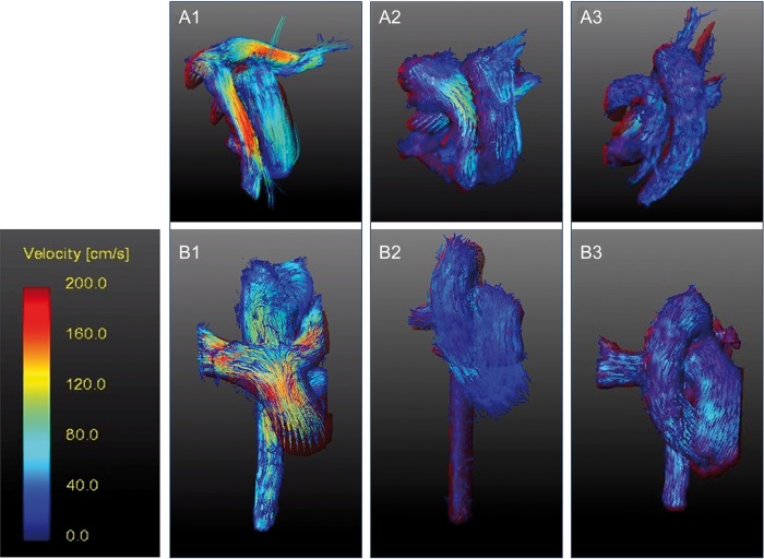 Figure 3: