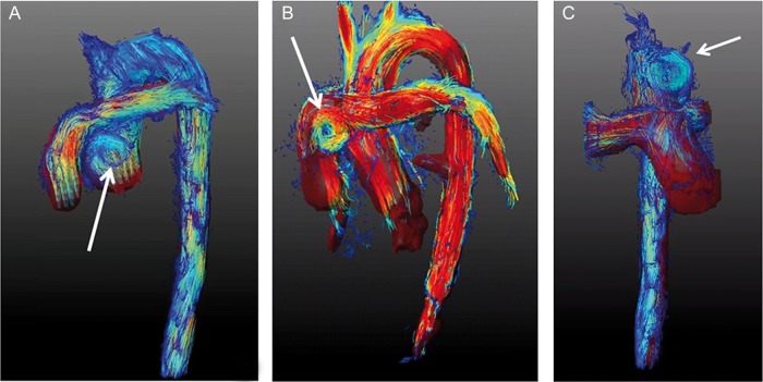 Figure 2: