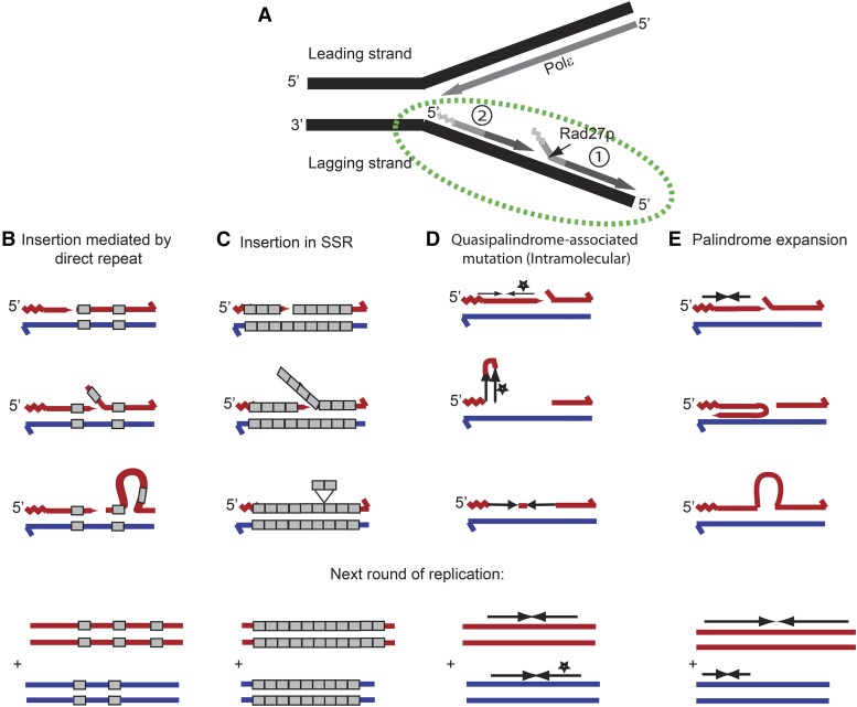 Figure 10