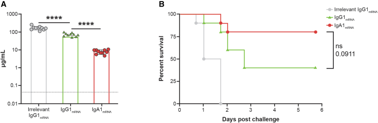 Figure 4