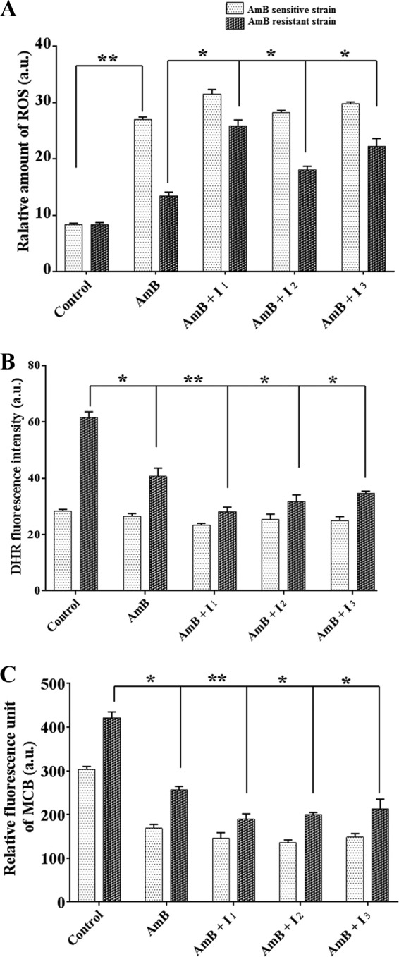 FIG 7