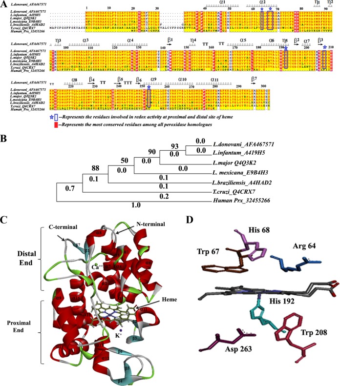 FIG 1