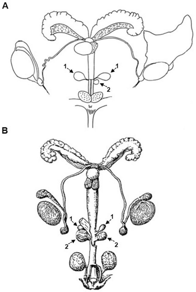 Fig. 5