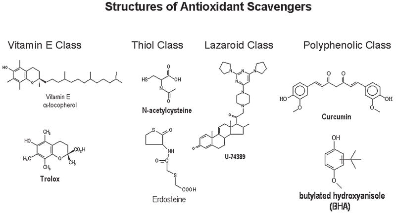 FIG. 7