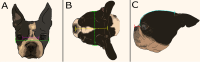 Fig 2