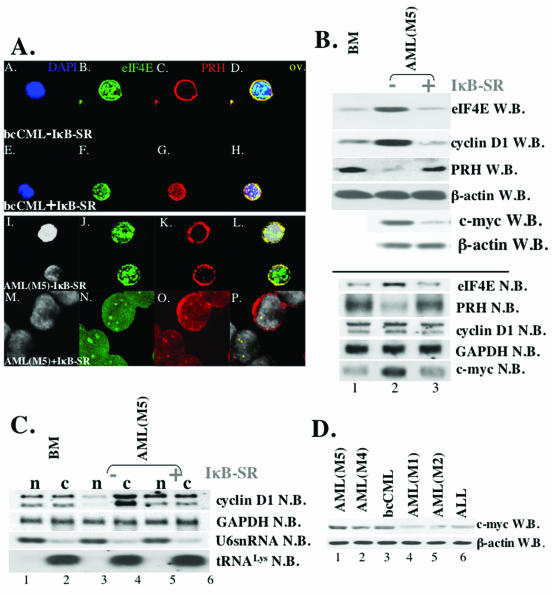 FIG. 3.