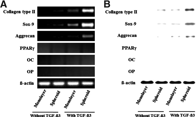 FIG. 11.