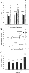 Fig. 6.