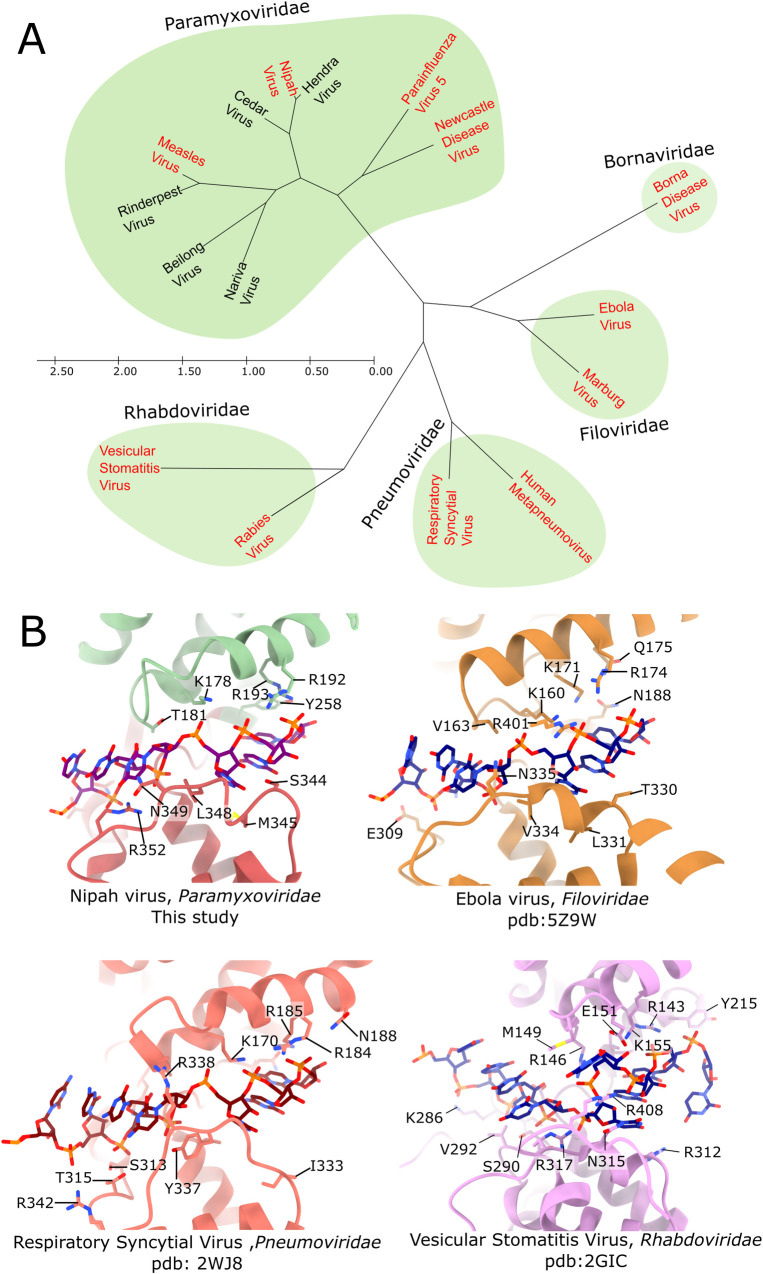 Fig 6