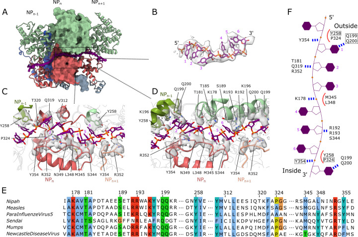 Fig 3